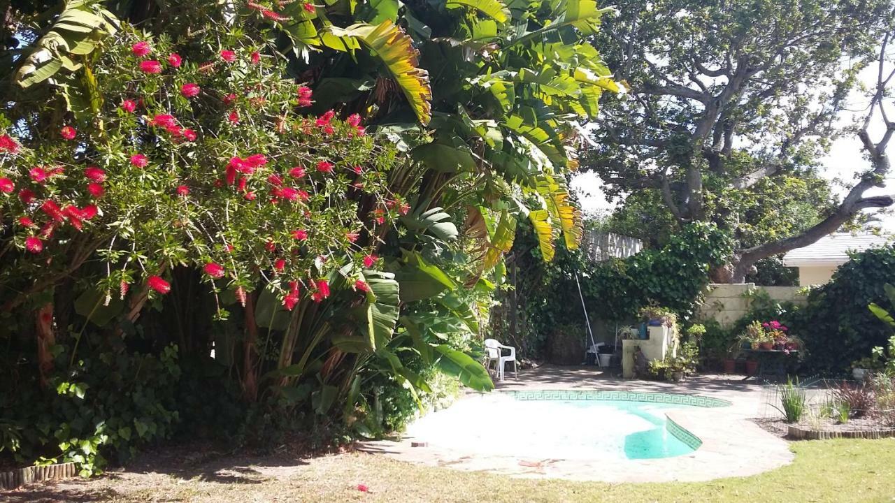 11 Lucius Way Homestay